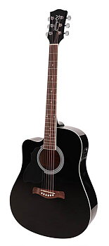 Richwood RD12-CE Black Left