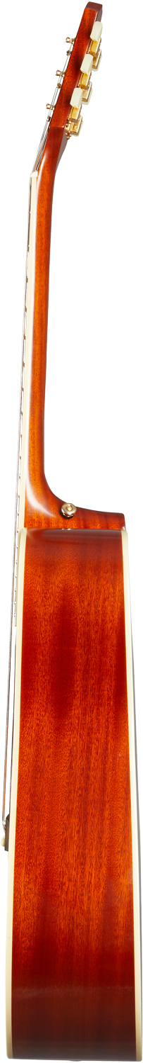 Epiphone Hummingbird ACSG - 3