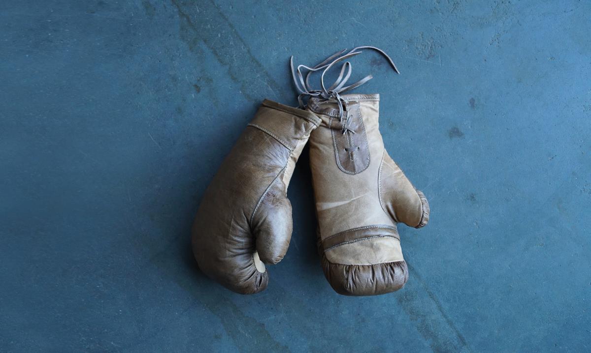 Rocky Boxarhandskar i läder - Brun  - 6