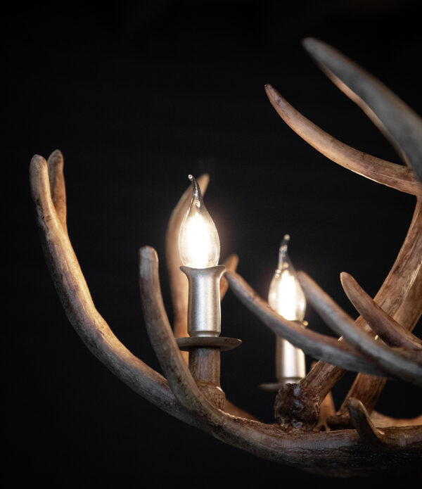 Antler – Exklusiv taklampa i renhornsdesign - 6