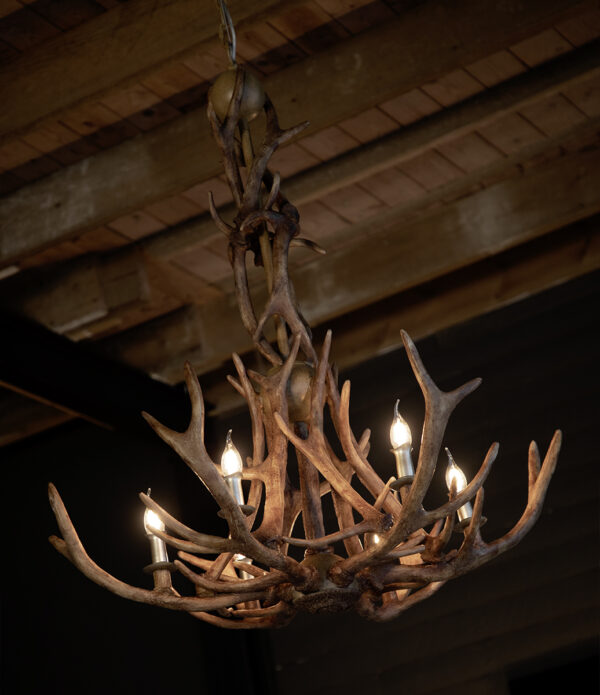 Antler – Exklusiv taklampa i renhornsdesign - 3