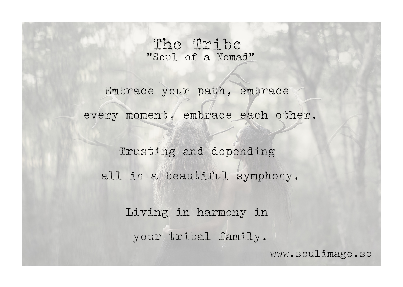 Poster The Tribe  50x70 cm 