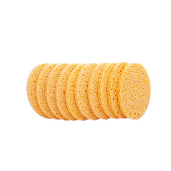 Rengöringssvamp