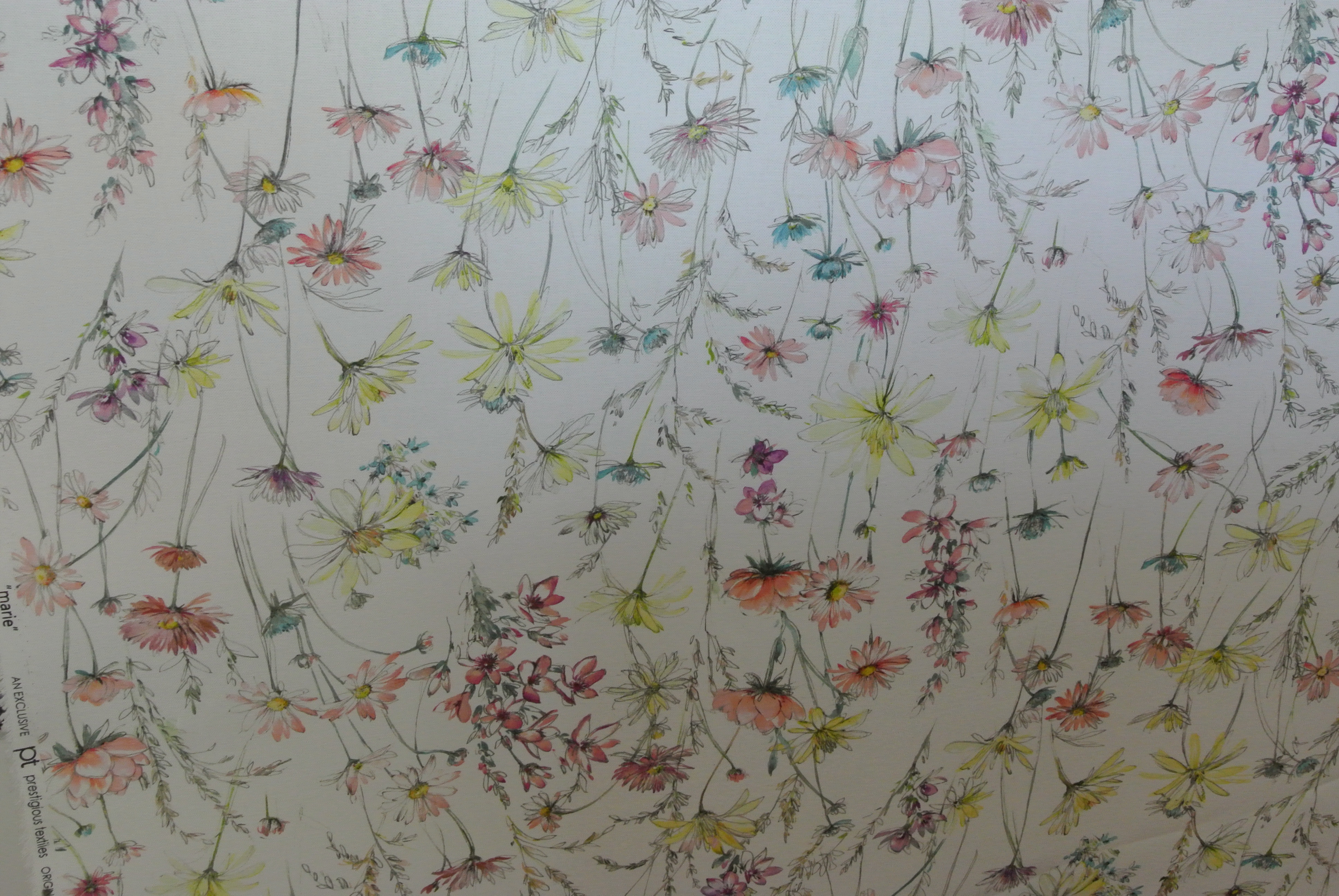 Kinnamark tistelblomma ljus botten med blommor i rosa