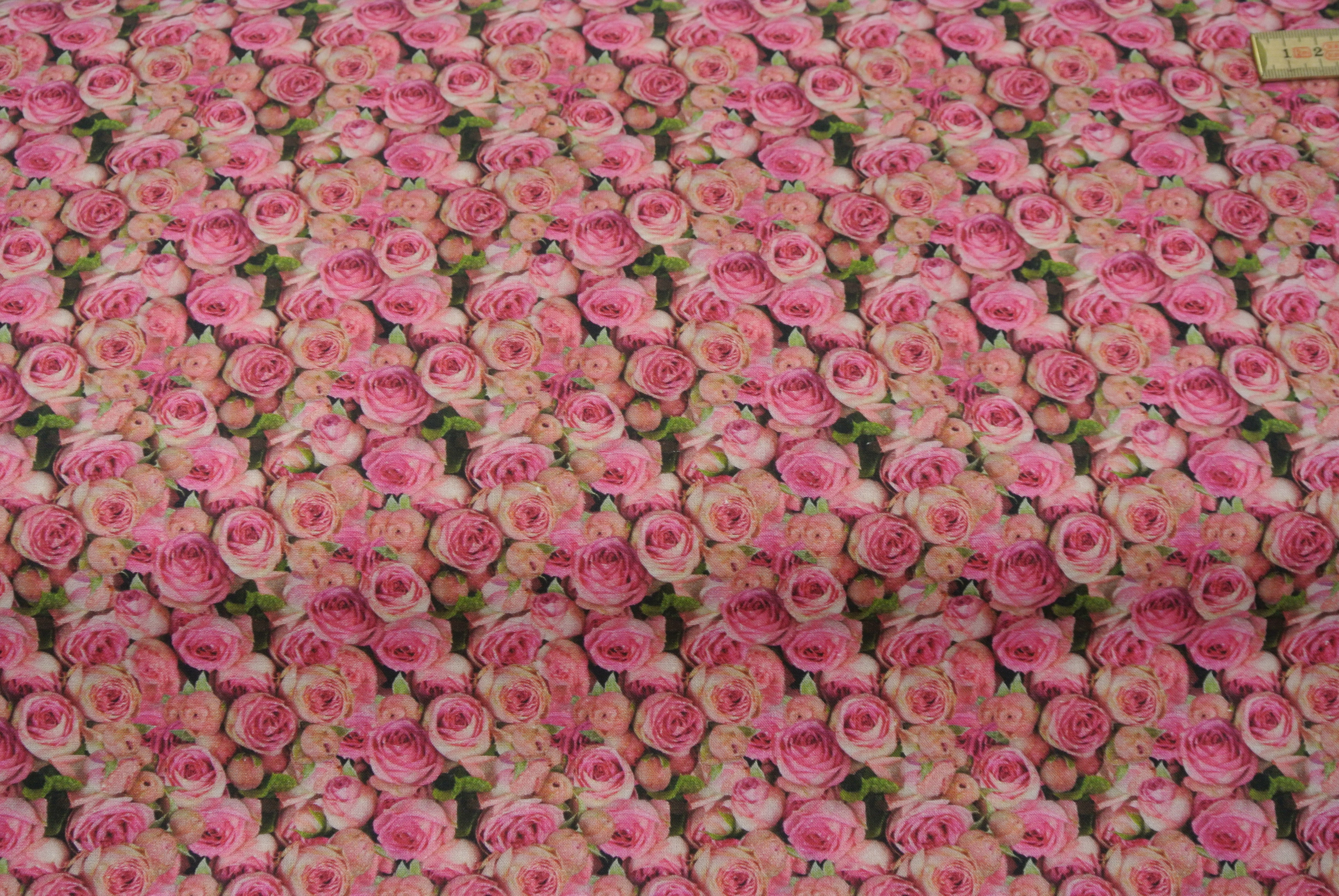 mörk botten med rosor i rött och rosa