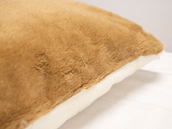 Wool pillow CAMEL Exclusive