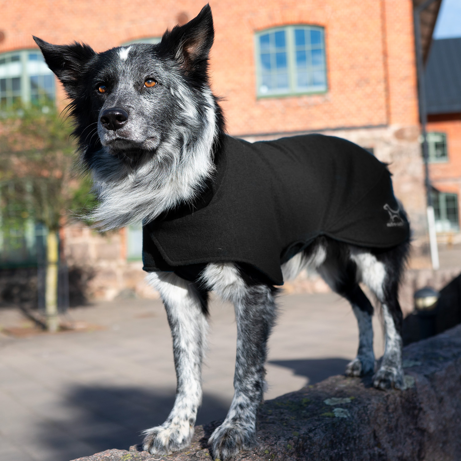 Warmwool plus (lined wooljacket)