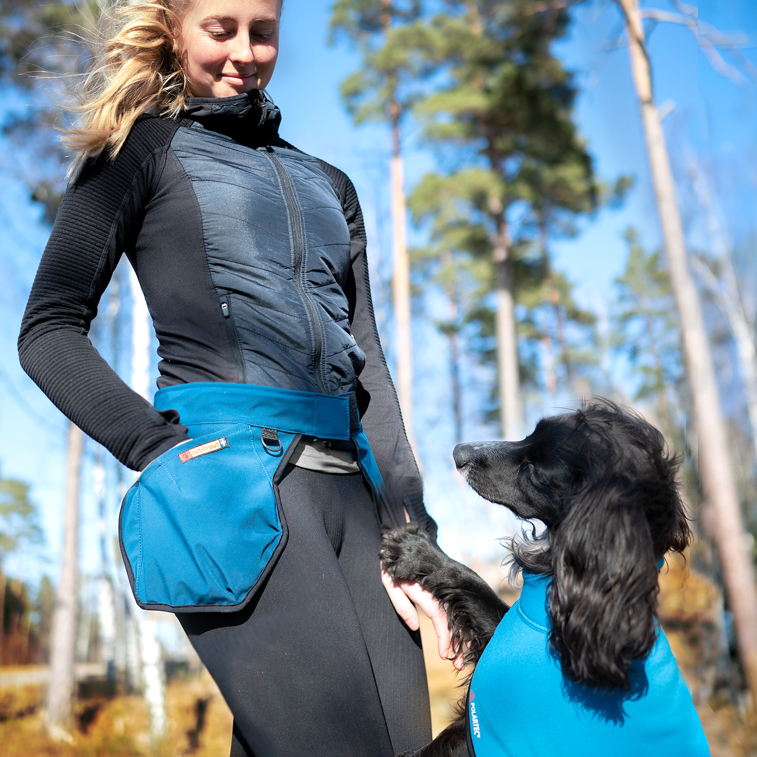 Cookie Belt® – Originalet | Hundträningsbälte (Blått)
