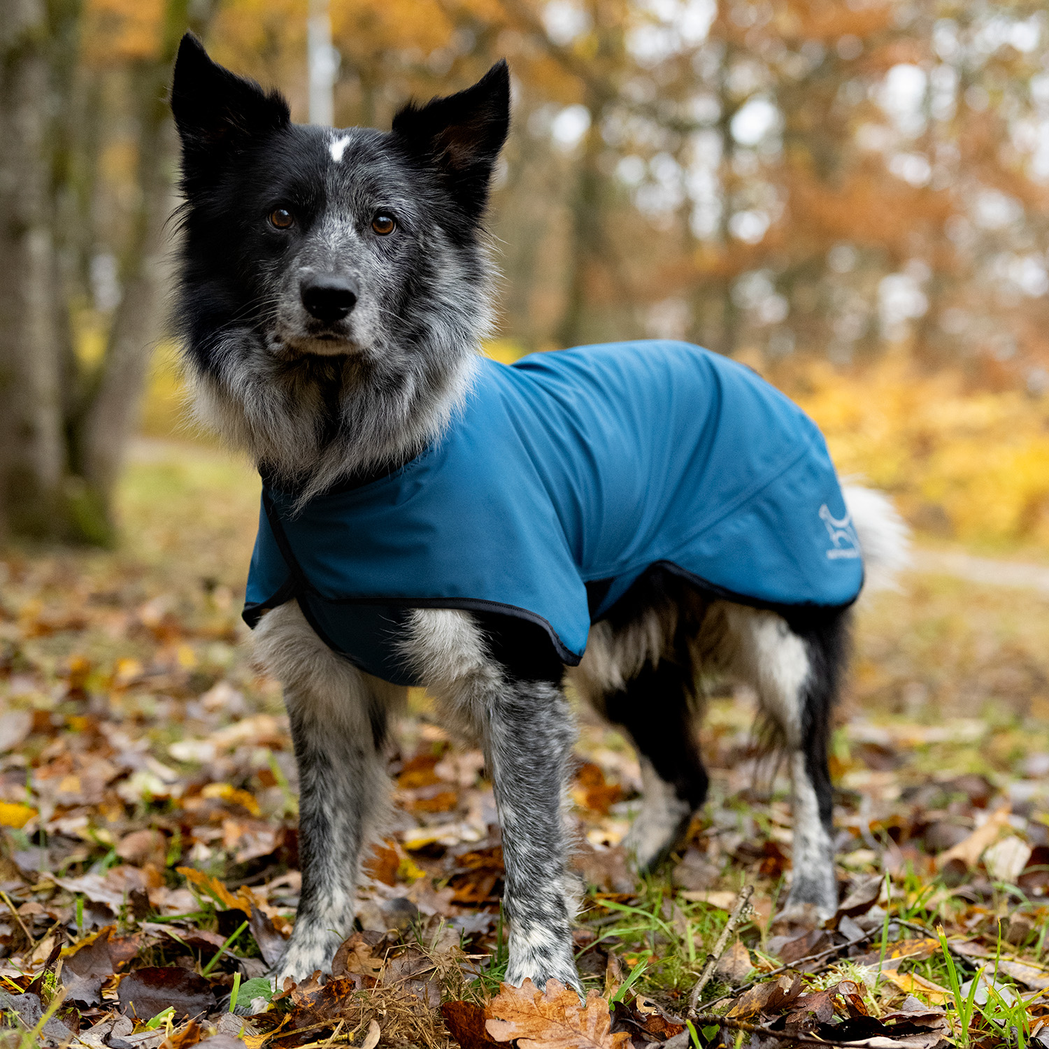 Regntäcke hund, Neoflex (shadegreen)