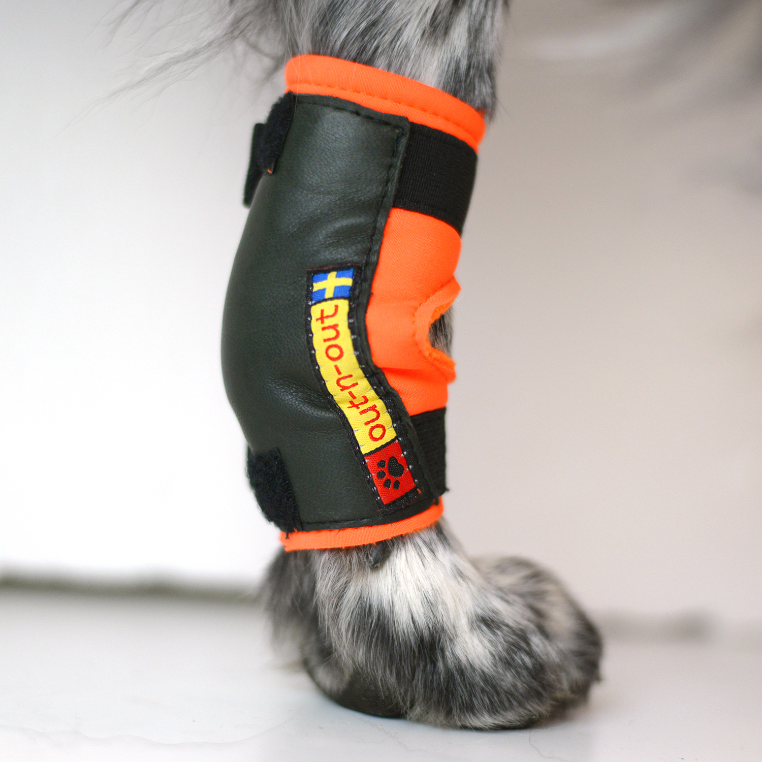 canine carpal pad