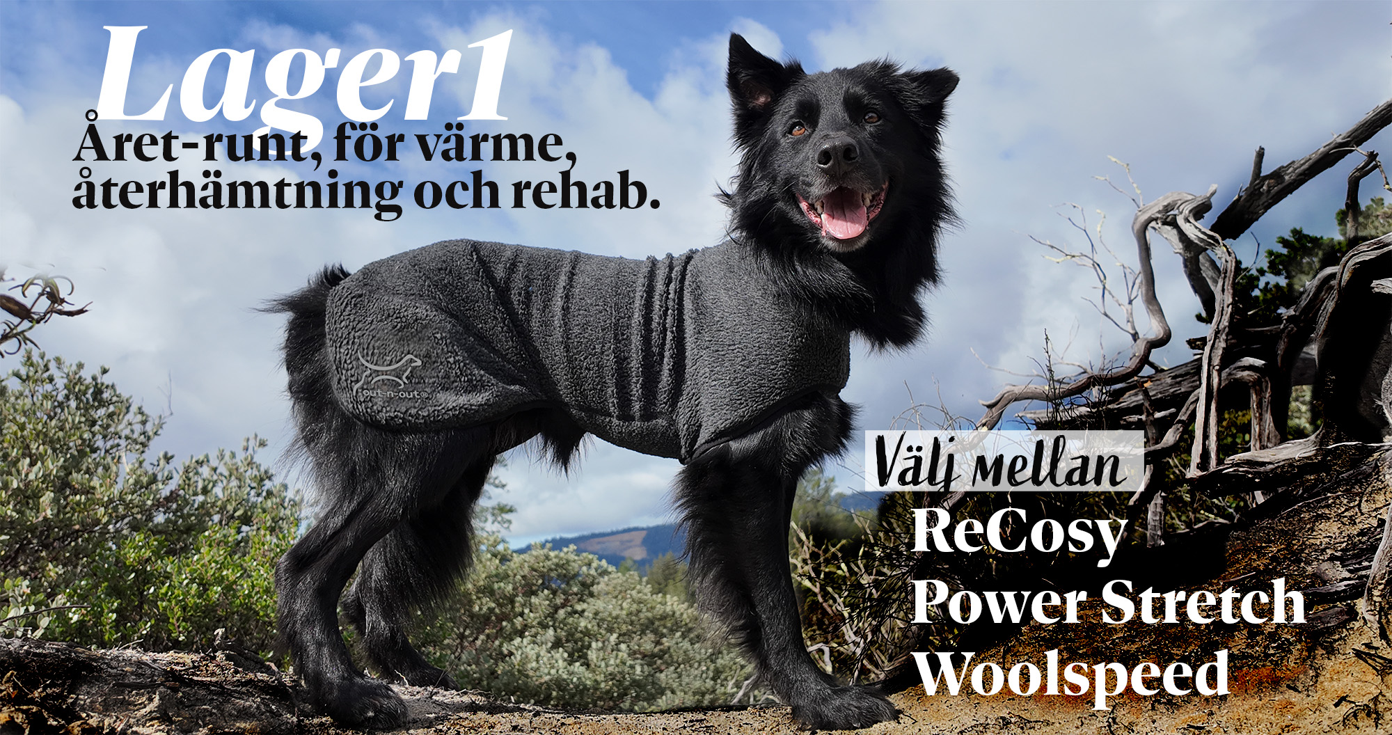 hundtäcken att ha året runt, värme, återhämtning, friskvård och rehab
