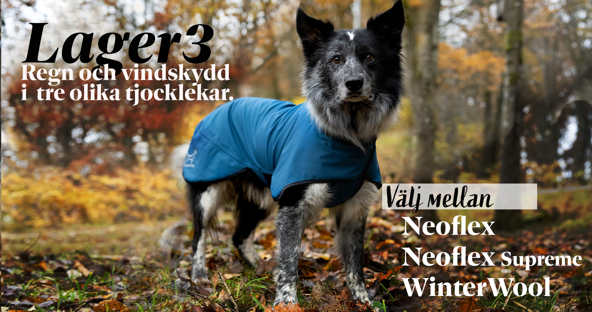 Layer 2 dog jacket