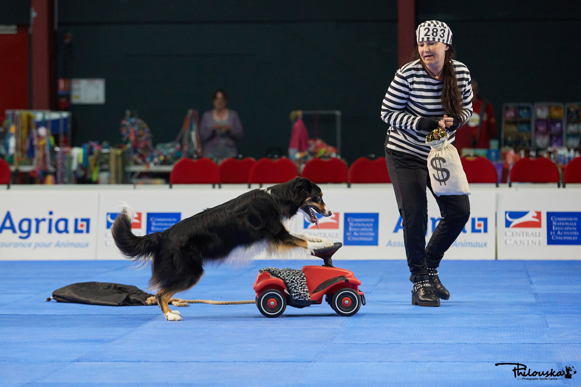 Lizette Olausson - Passion: Freestyle med hund