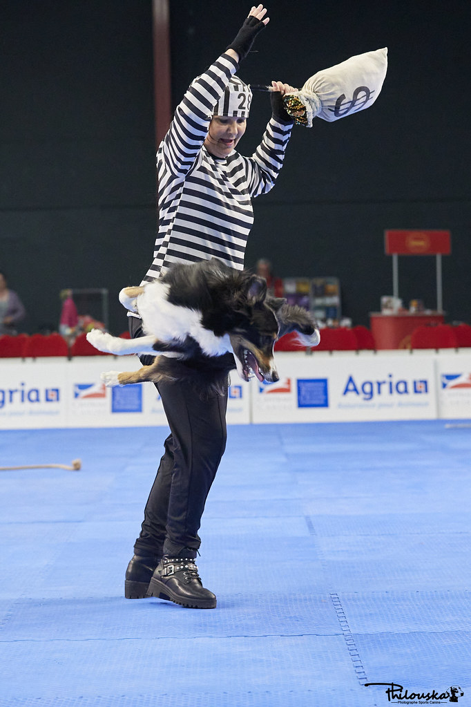 dog dancing world championships