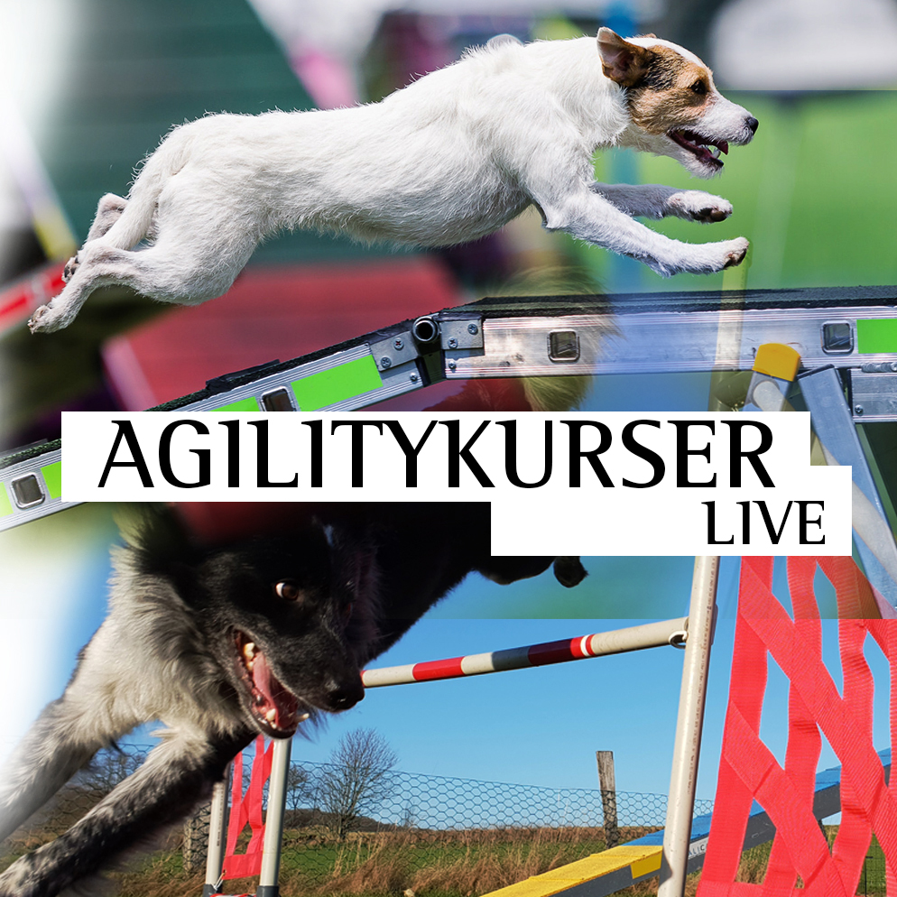 Agility