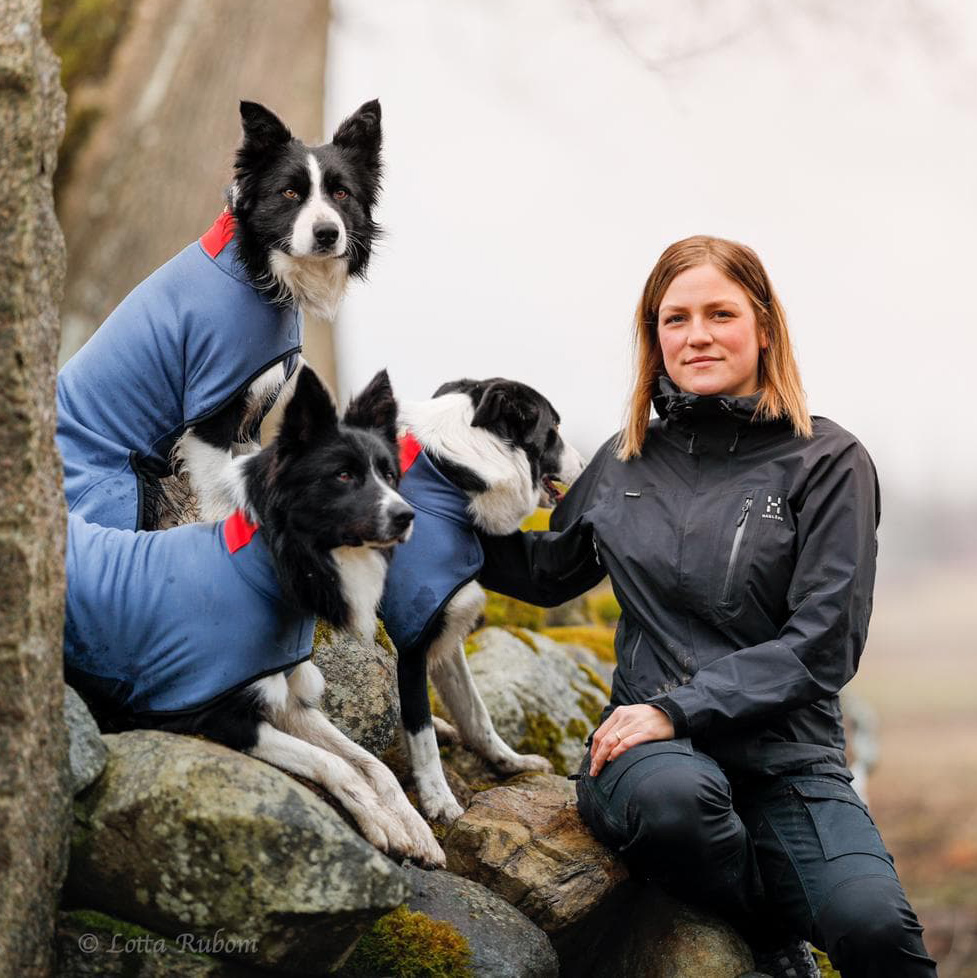 Jenny Klingborg - Herding