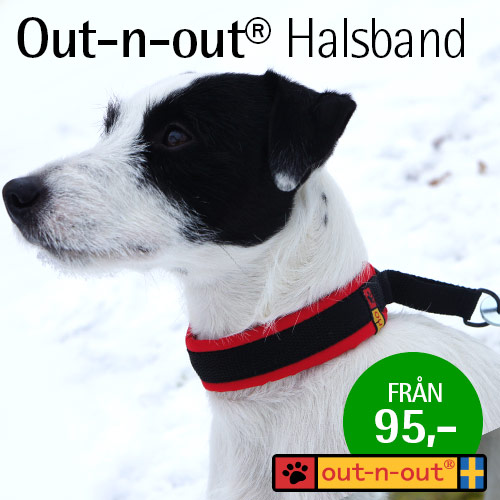 Hundhalsband