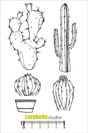 Cling Stamp A6 : Cactus