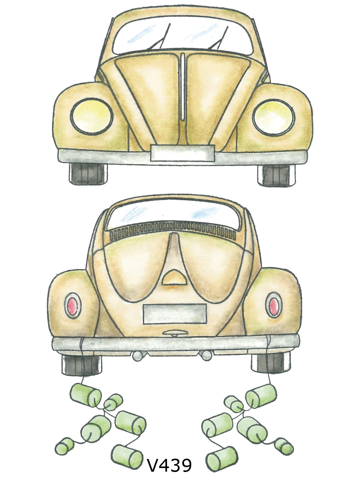 Beetle front and rear