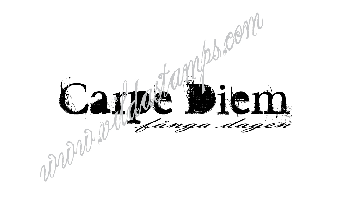 "Carpe Diem"