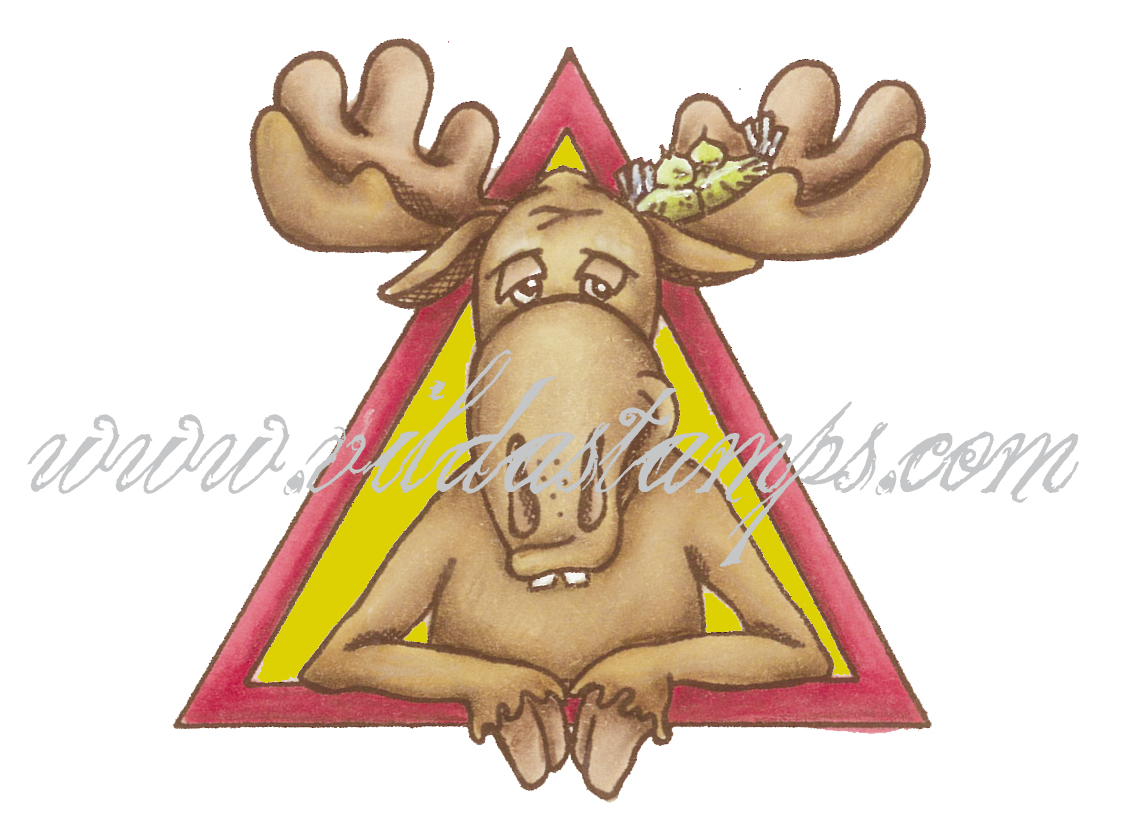 Moose warning