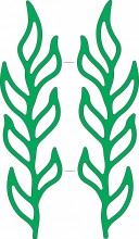 B206 Mini Leaf