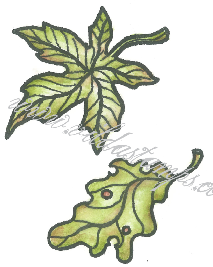 Two leafs