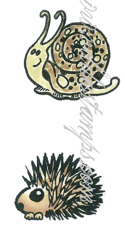 Snail and Hedgehog