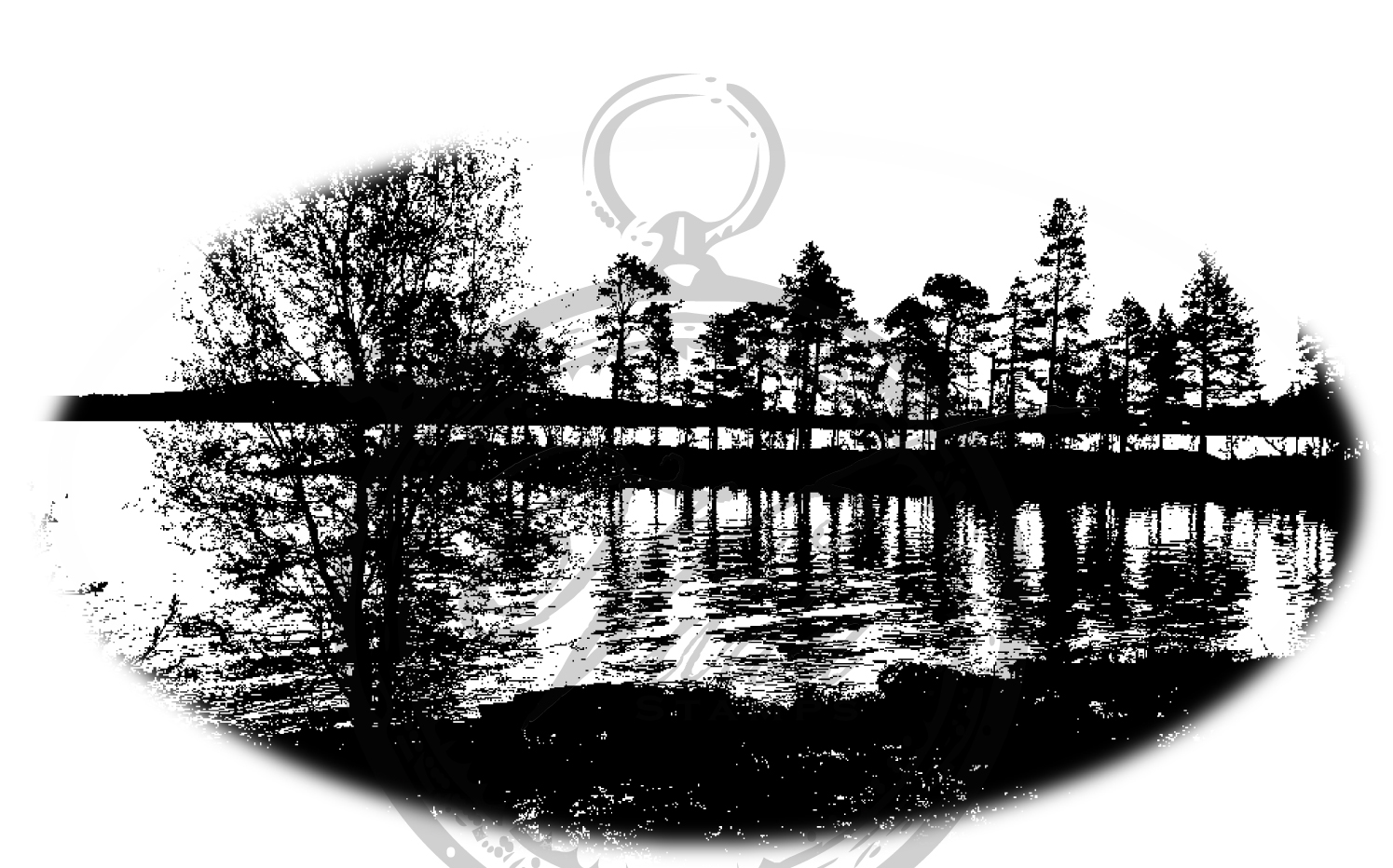Forest silhouette