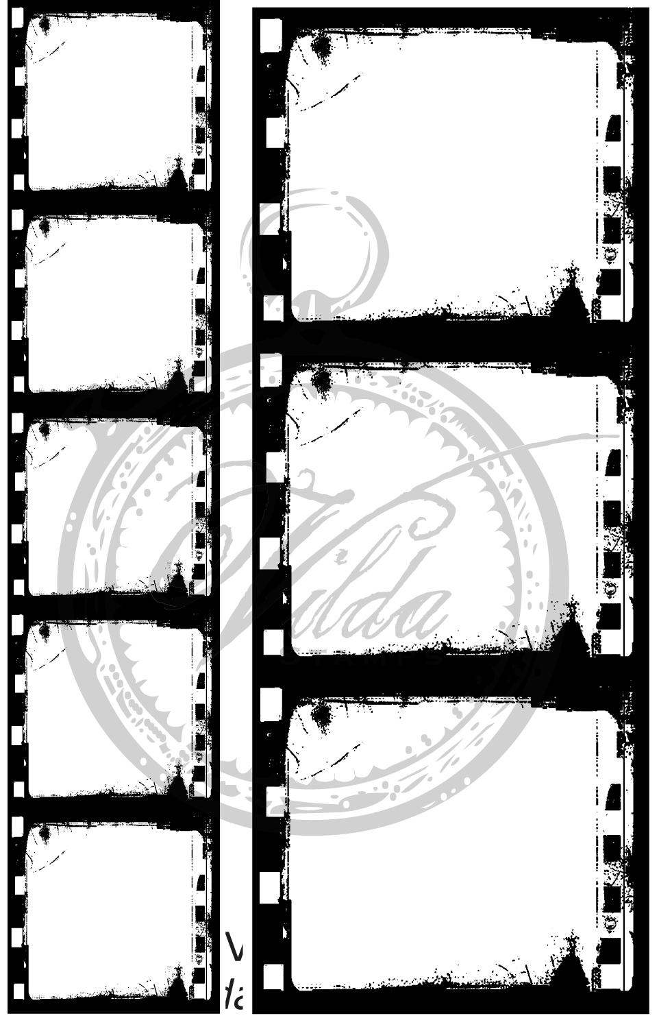 Two filmstrips
