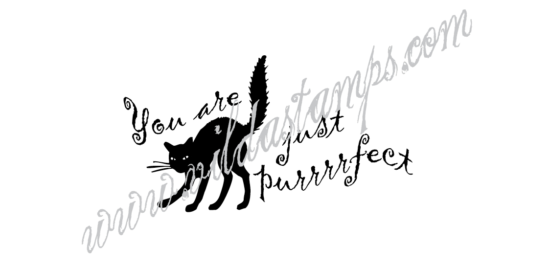 "You are just purrrrfect"
