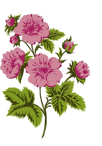 Layered stamps w.position edge: roses branch, 4 pcs.