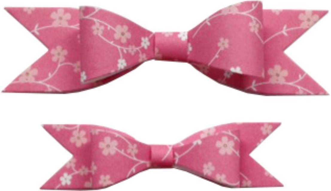 Pretty Pretty Bows (Set of 2)