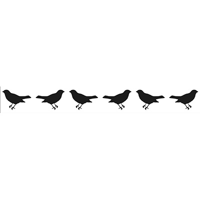 Embossing Border - Xmas Bird Border