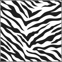 TCW189S Zebra Print