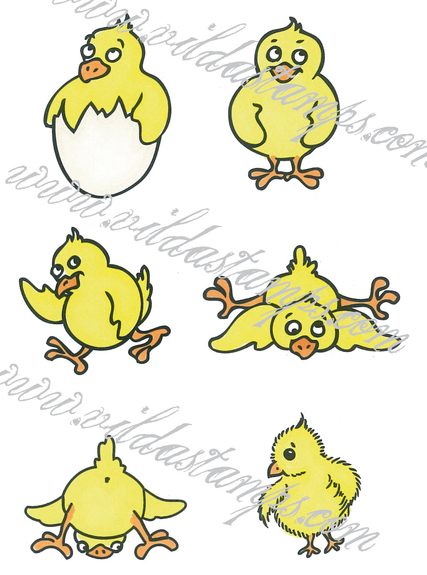 Small chickens