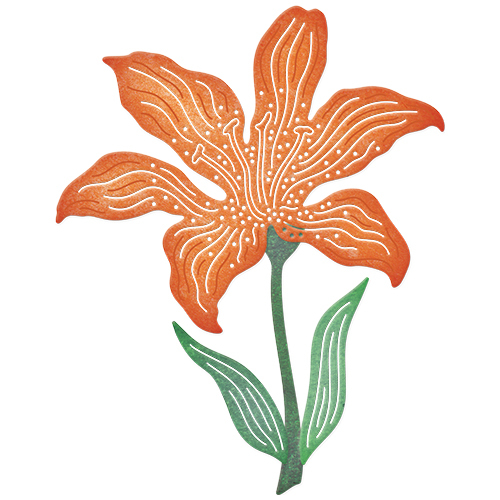 Tiger Lily