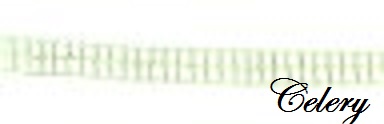 Grid Ribbon - 5