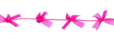 Organdy Bow