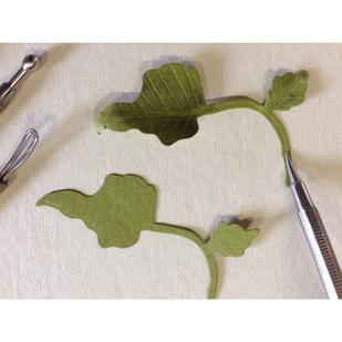 Leaf Pad 4" X 6" (5 Pack)