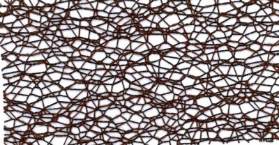 Web - 5