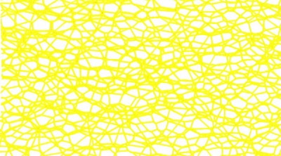 Web