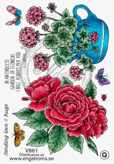 Blommor Pelargon och Rosor