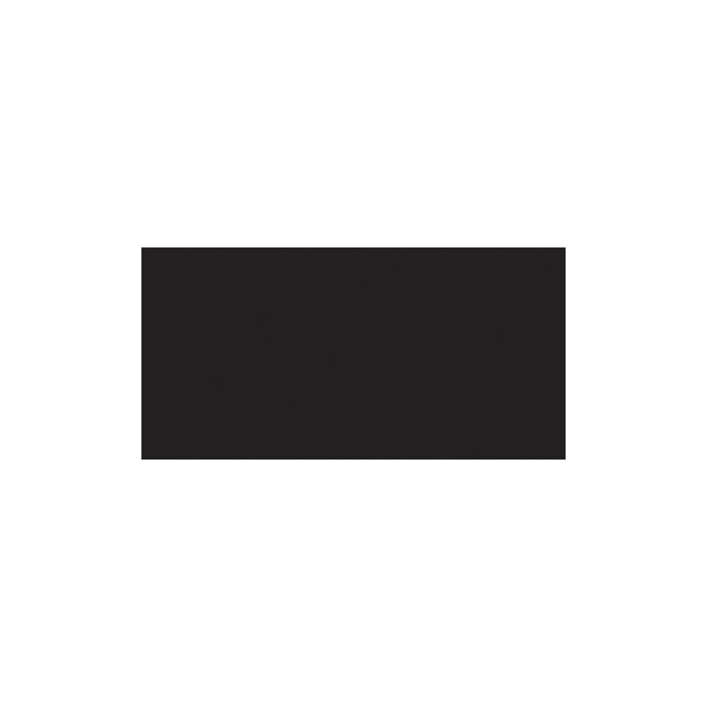 VersaFine Pigment Inkpad - Onyx Black