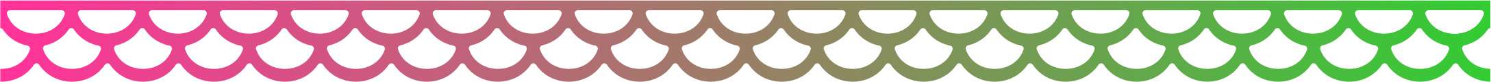 Double Scalloped Border