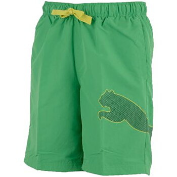 Badshorts Puma Logo Bermuda, grön