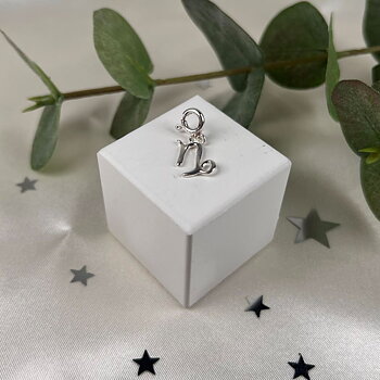 IAMLUND Stenbocken berlock – zodiac smycke