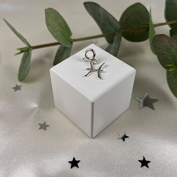 IAMLUND Fiskarna berlock – zodiac smycke 