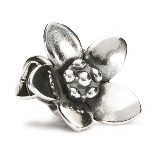 Trollbeads The Messenger silverkula 