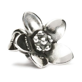 Trollbeads The Messenger silverkula 